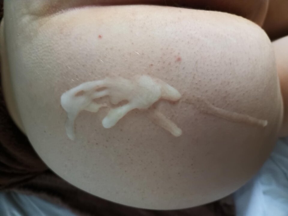 1000001779.jpg - Misiaczkowce