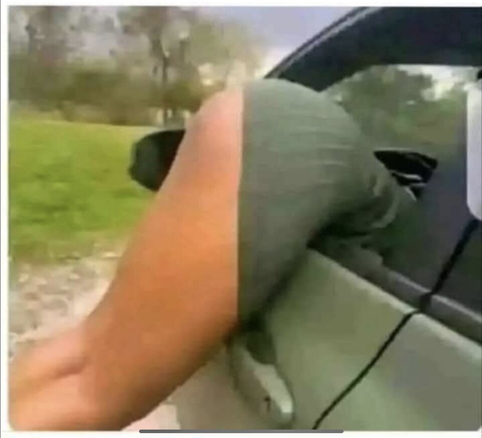 IMG_8133.jpeg - 1yorkjo