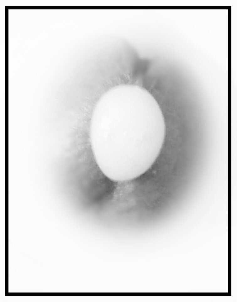 000003954.jpg - GrinchNude