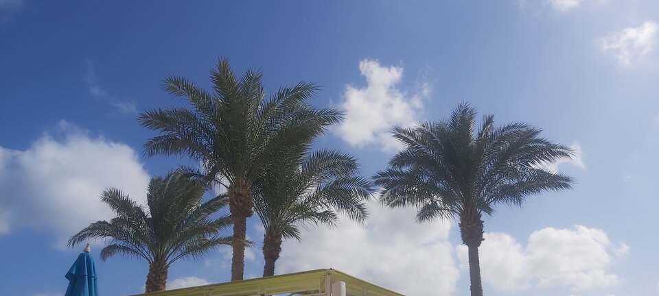 20260103_130530.jpg - pwpara