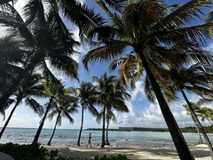 IMG_2332.jpeg