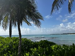 IMG_2347.jpeg