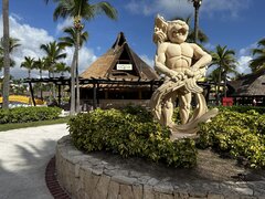IMG_2337.jpeg
