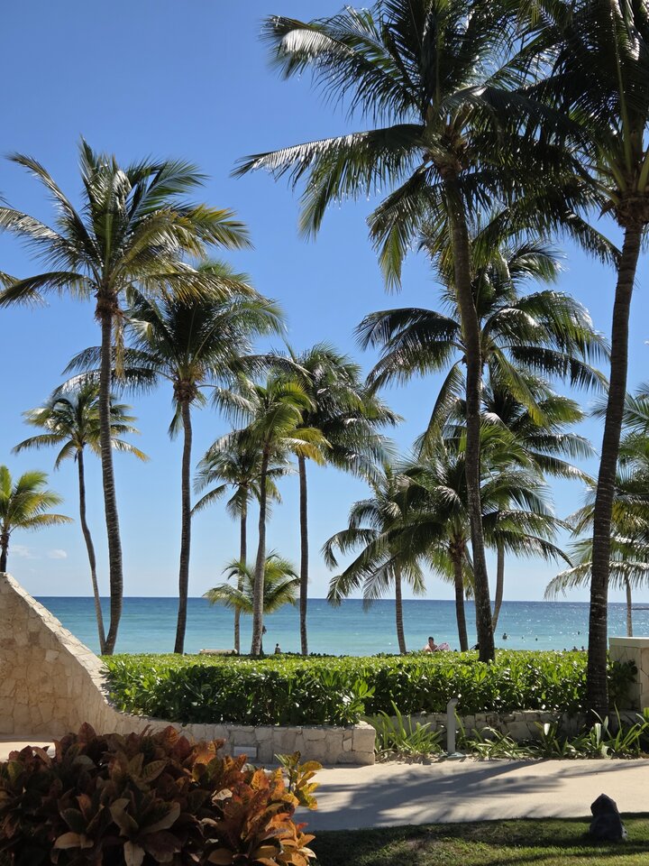 7550.jpg - Surgiderm_69