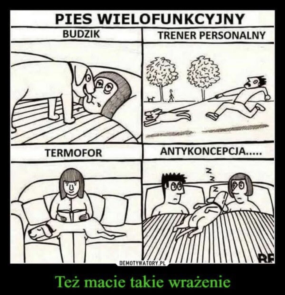 IMG_5004.jpeg - 1yorkjo