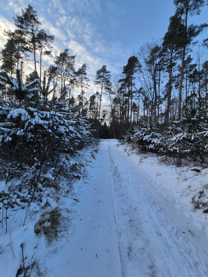 1000062219.jpg - Miniek234