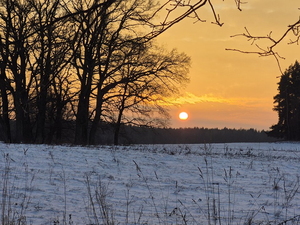 1000062243.jpg - Miniek234