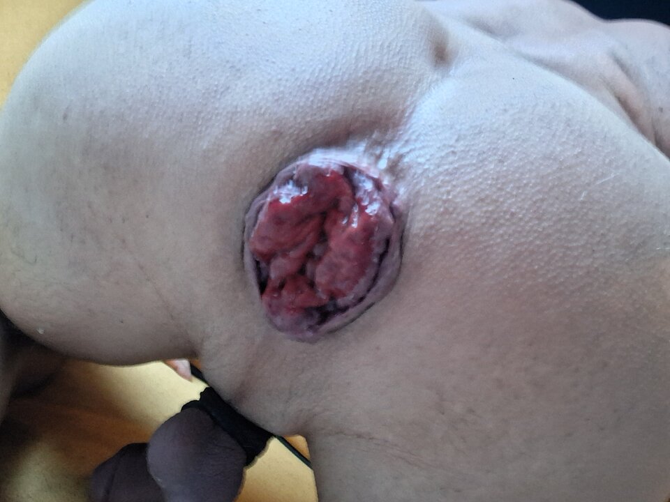 1000010734.jpg - Magic_Holes