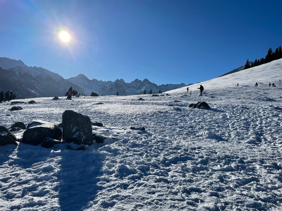 IMG_6426.jpeg - elTorro82