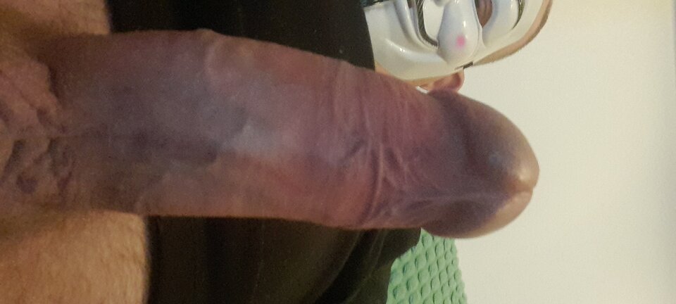 17677818659746359903503005462426.jpg - speedman1982