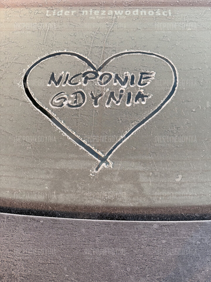 IMG_3117.jpeg - NicponieGdynia