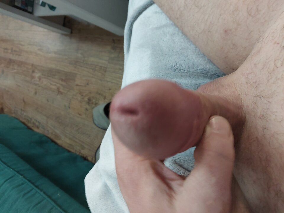 1000009530.jpg - Forsst