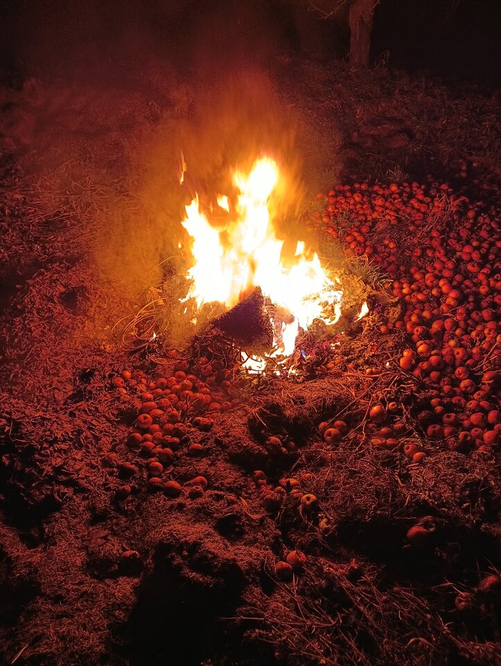 1000003791.jpg - Vmseba198