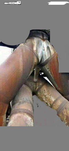 fotka na zb.jpg