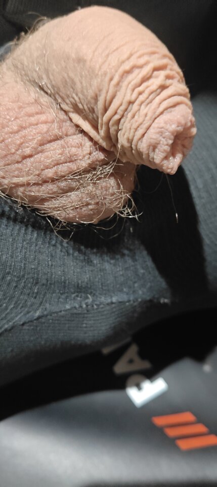 17678196741986323103838637955157.jpg - dyndok