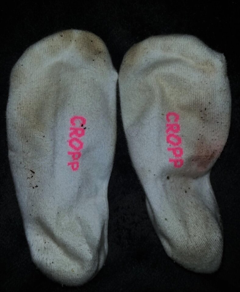 FB_IMG_1767826903399.jpg - NylonPiotr