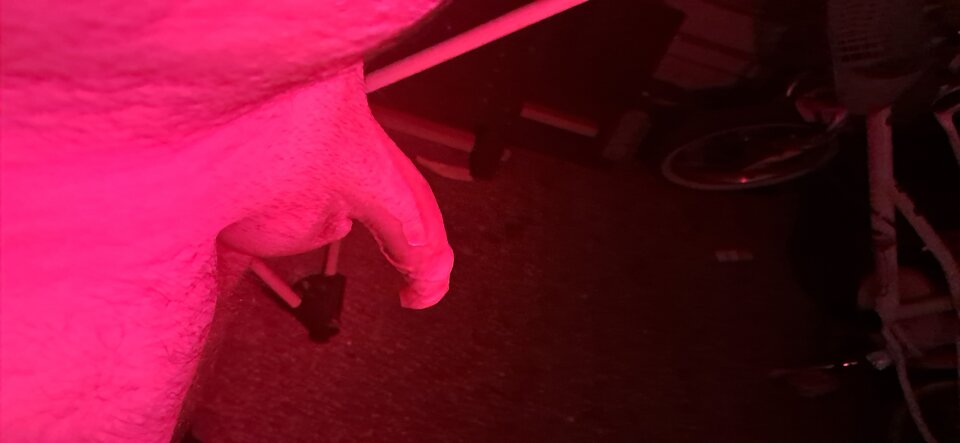 1000009854.jpg - Netter1981