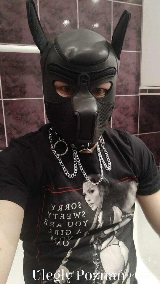 big_50e237b3e5283fe0d30ec227cacf4ad7.jpg - Slavedog80