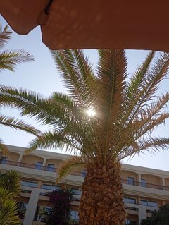 IMG_20240812_170803.jpg