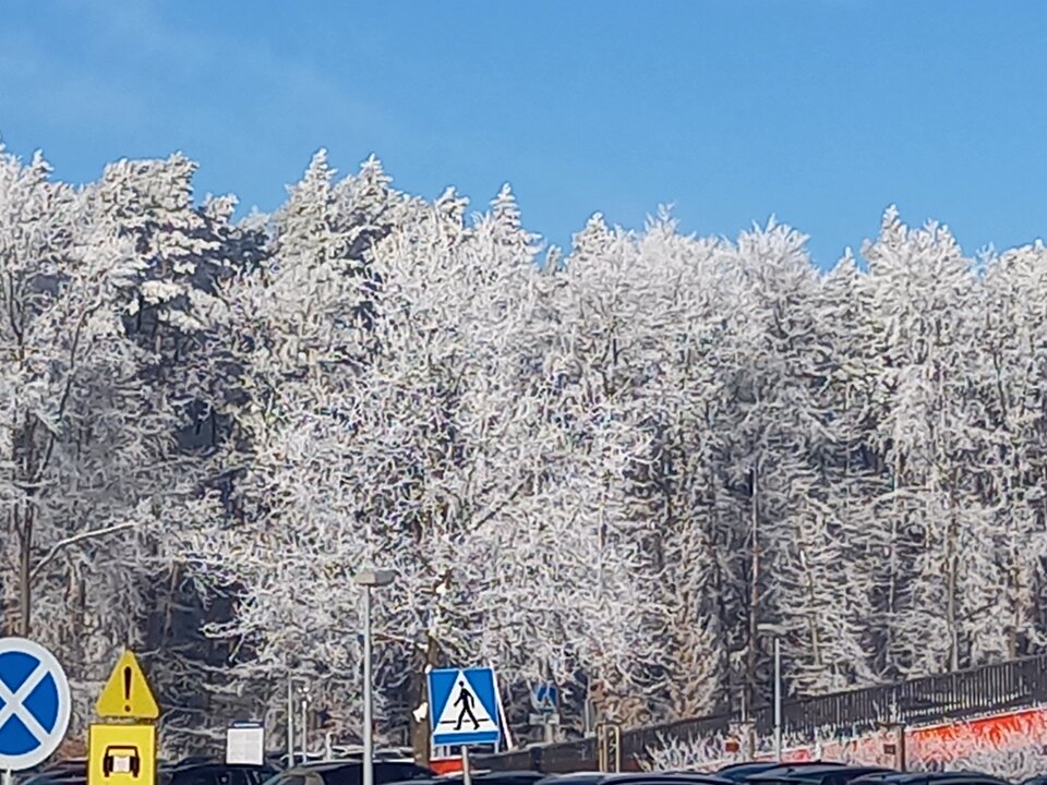 .....Kaszuby. - misioon79