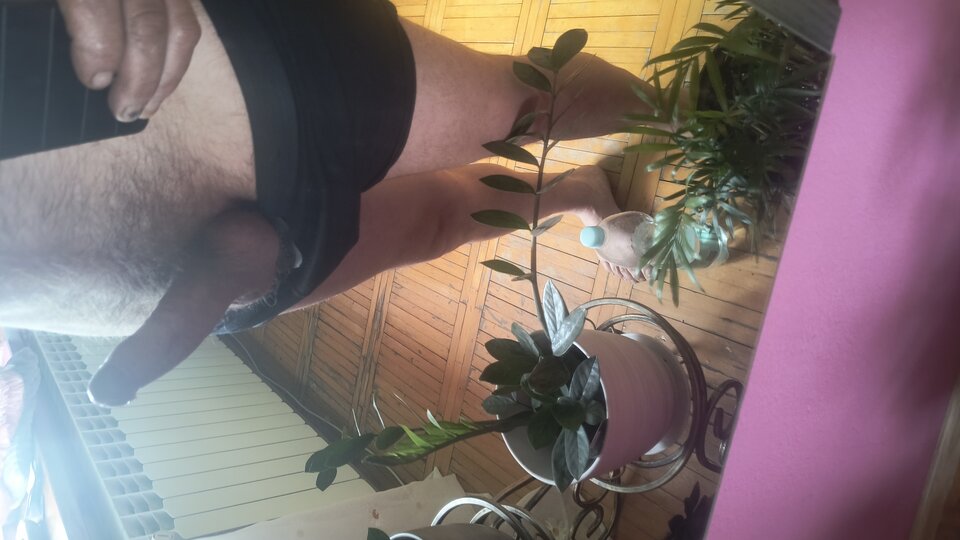 1000001648.jpg - Jaroslaw15