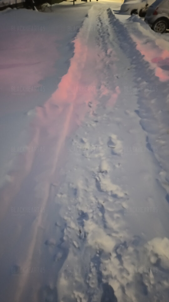 IMG_20260108_161406478.jpg - BlackHeart45