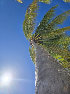 Trochę słońca 🌞🇲🇽