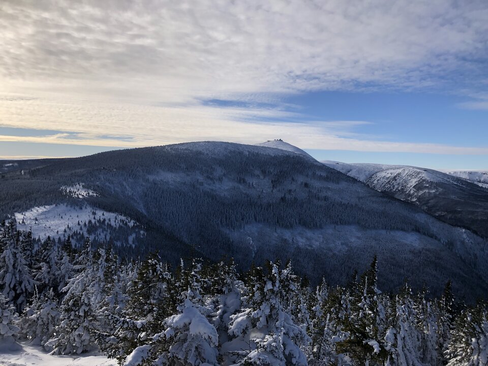 IMG_0730.jpeg - Lucyfer79wr