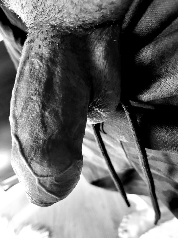 20240609_172230.jpg - Krzys197979