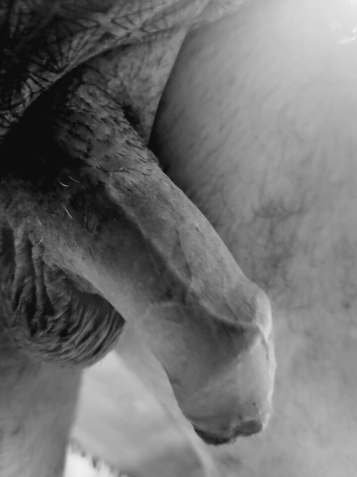 20240324_104043.jpg - Krzys197979