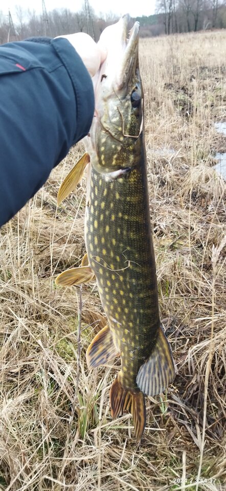 IMG_20240203_143737.jpg - Robertxx1984