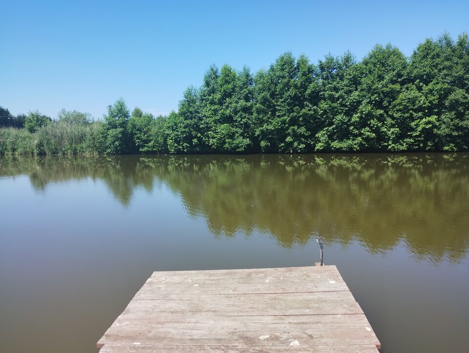 IMG_20240720_134135585.jpg - Robertxx1984