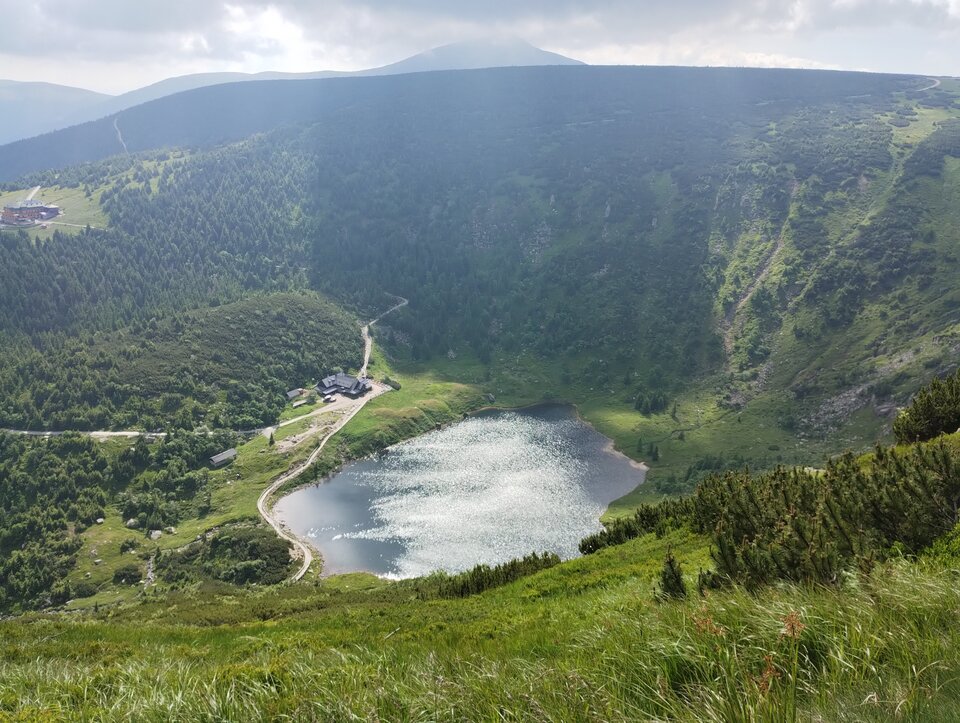 IMG_20240623_095307341.jpg - Robertxx1984