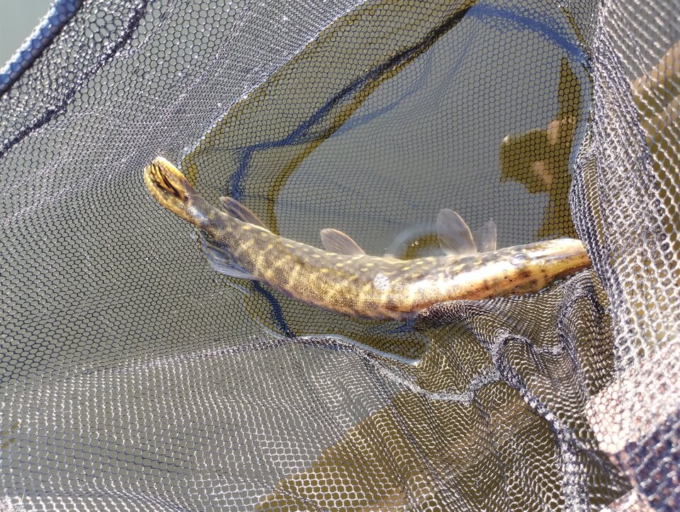 IMG_20240921_170713105.jpg - Robertxx1984