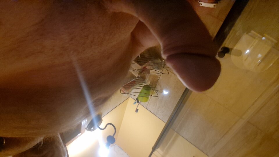 1000001596.jpg - 722003