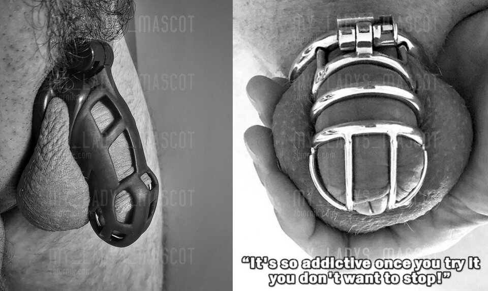 Addicted.jpg - My_Ladys_Mascot