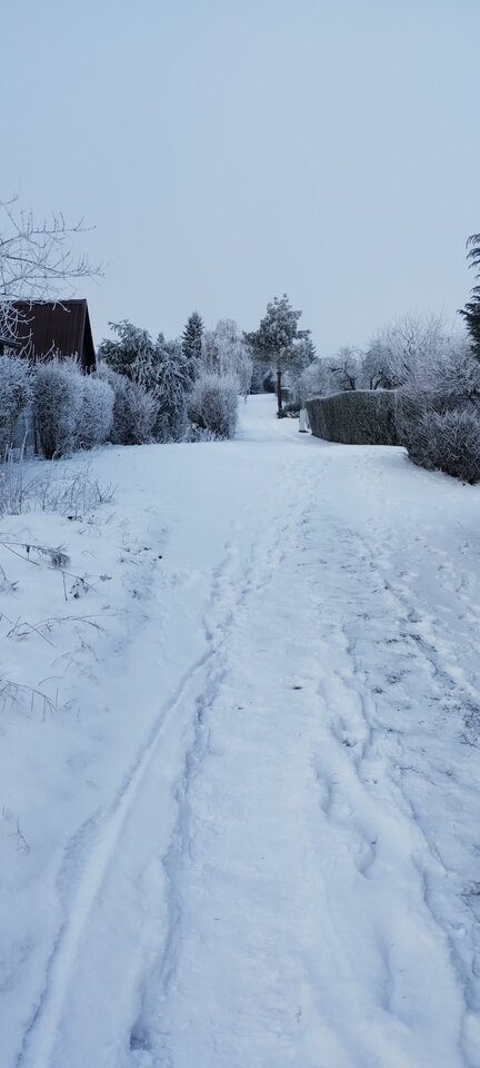 IMG_20260109_092921653.jpg - AnnaDojrzalaNaturalnaE