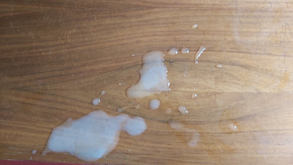 20220723_120711.jpg - endriu48