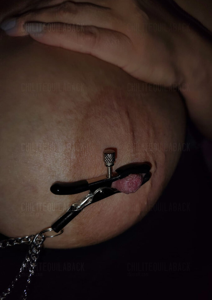 Sutek - ChiliTequilaBack