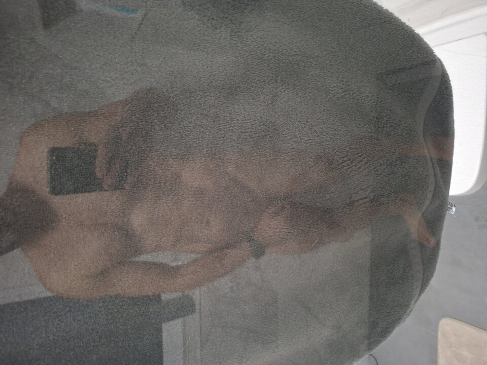 1000016518.jpg - Tengel76