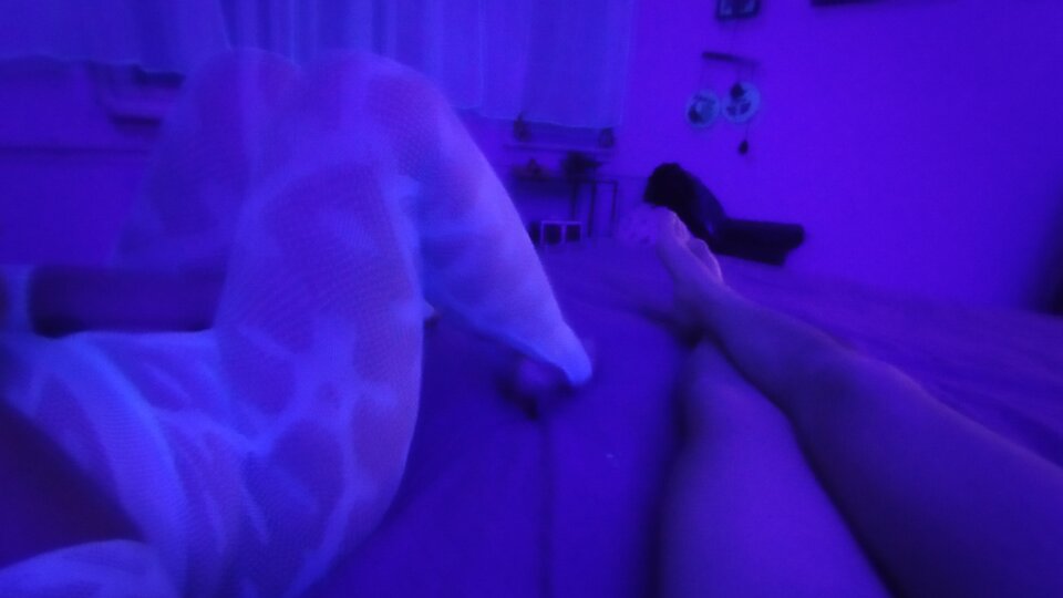 IMG_20260109_230441.jpg - Szkp1973