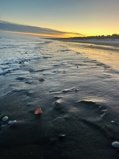 IMG_2263.jpeg