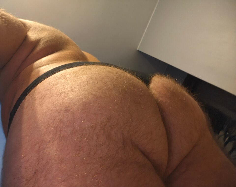 8842.jpg - verstop_2_versbot