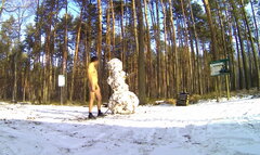 ŻYGLIN - w lesie 20260110_1207.mp4_snapshot_00.55.629.jpg