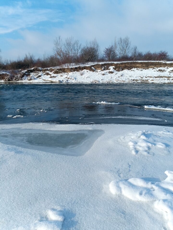 IMG_20260110_134014_4.jpg - Reskator
