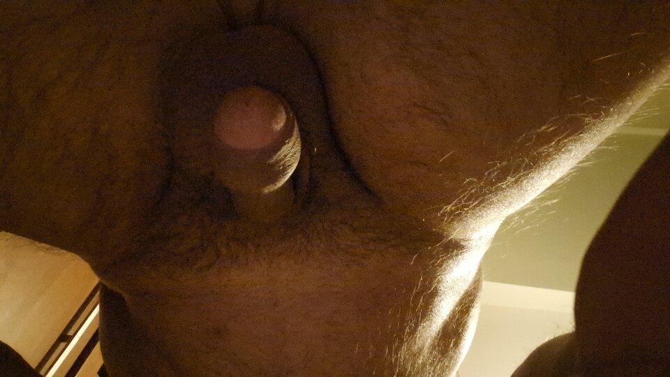 1000005725.jpg - Herubinekdlapan