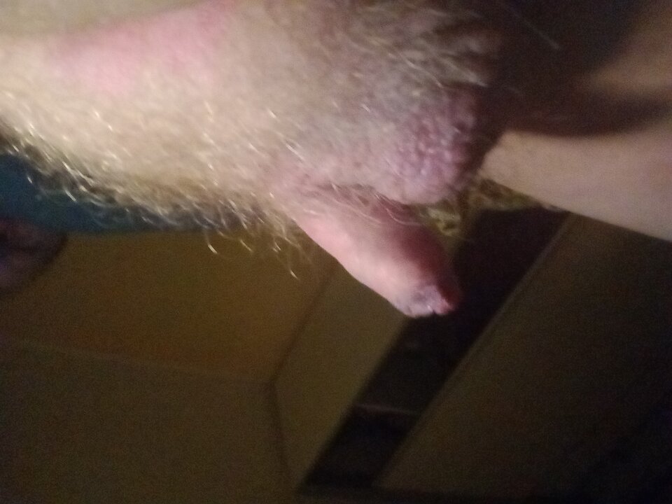 IMG_20260110_213148110_PORTRAIT.jpg - ROBWEN86