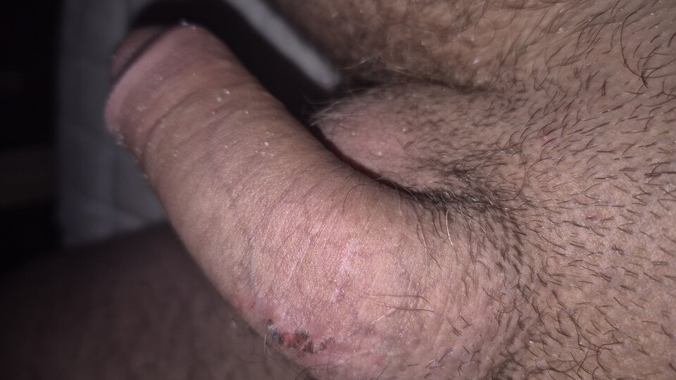 1000012602.jpg - Porobiony8530