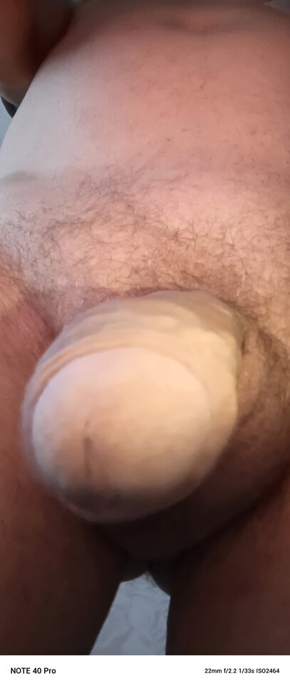 2026-01-1108.16.265141645209934907235.jpg - koniobijca51