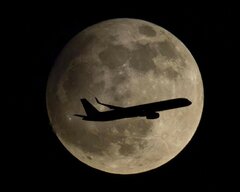Night-Flying~2.jpg